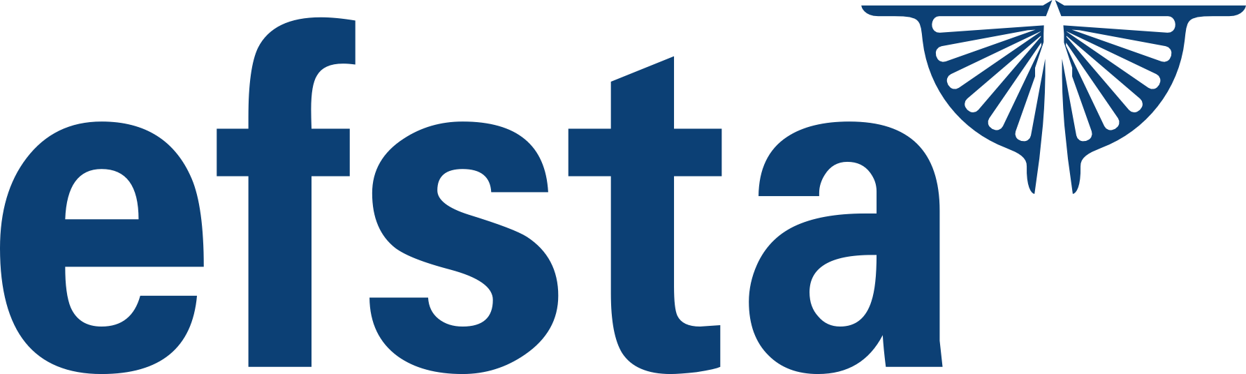 Logo vom Partner EFSTA